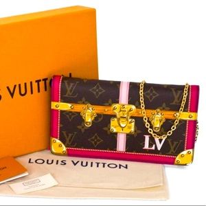 Louis Vuitton organizer/CB limited